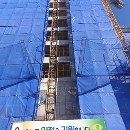 강릉 현장
